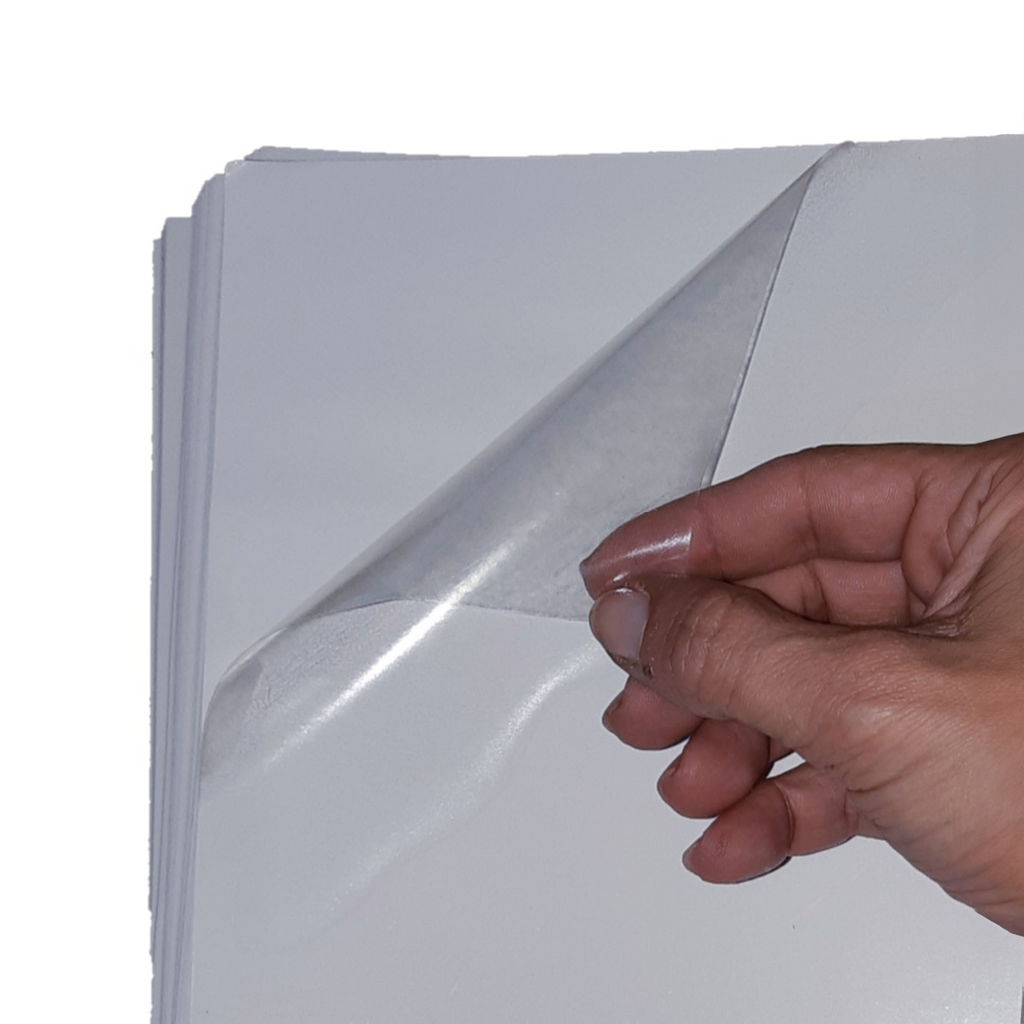 Kit Folhas - 33cm x 35cm
